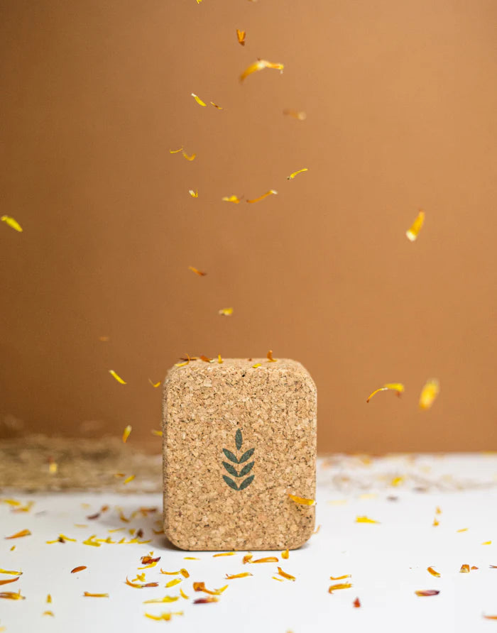 Case Soap