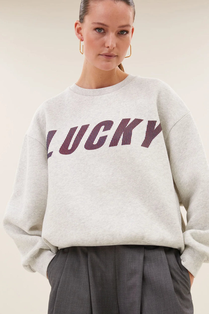 Lili Speed Sweater in Light Grey Melee