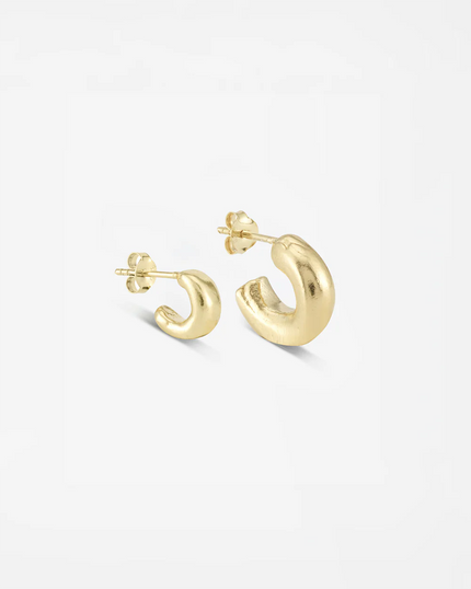 Classic Earring