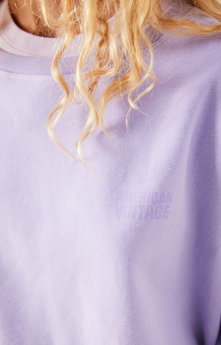 Jitbay Sweater in Vintage Parma