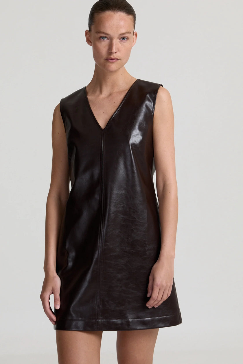 Jane Brown Dress