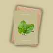 Mint To Be
