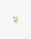 Stormy Earring