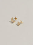 Wanting You Earring