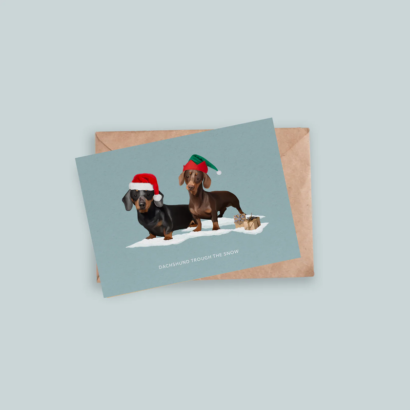 Dachshund Trough The Snow