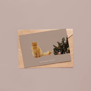 Have a purrrrfect christmas